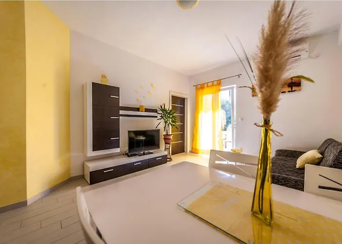 Apartman Vice *